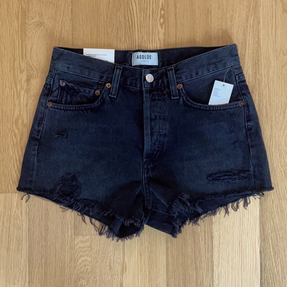 NWT Agolde Parker Vintage Cutoff Shorts Vortex